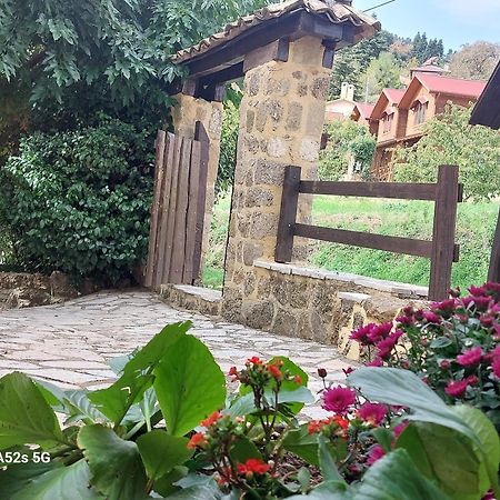 Villa Εν Αρχή - En Arhi Ano Trikala Esterno foto