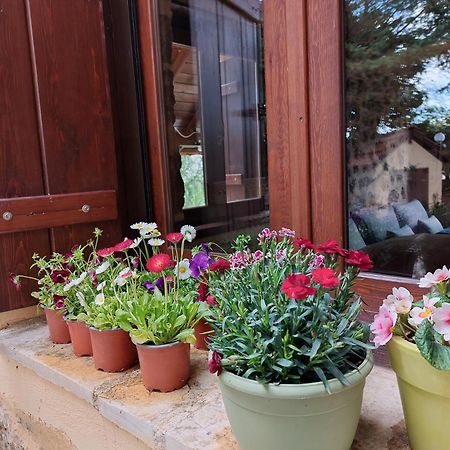Villa Εν Αρχή - En Arhi Ano Trikala Esterno foto