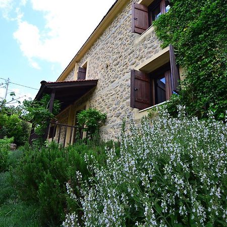 Villa Εν Αρχή - En Arhi Ano Trikala Esterno foto