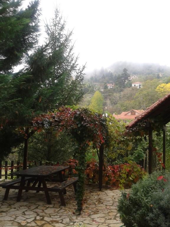Villa Εν Αρχή - En Arhi Ano Trikala Esterno foto