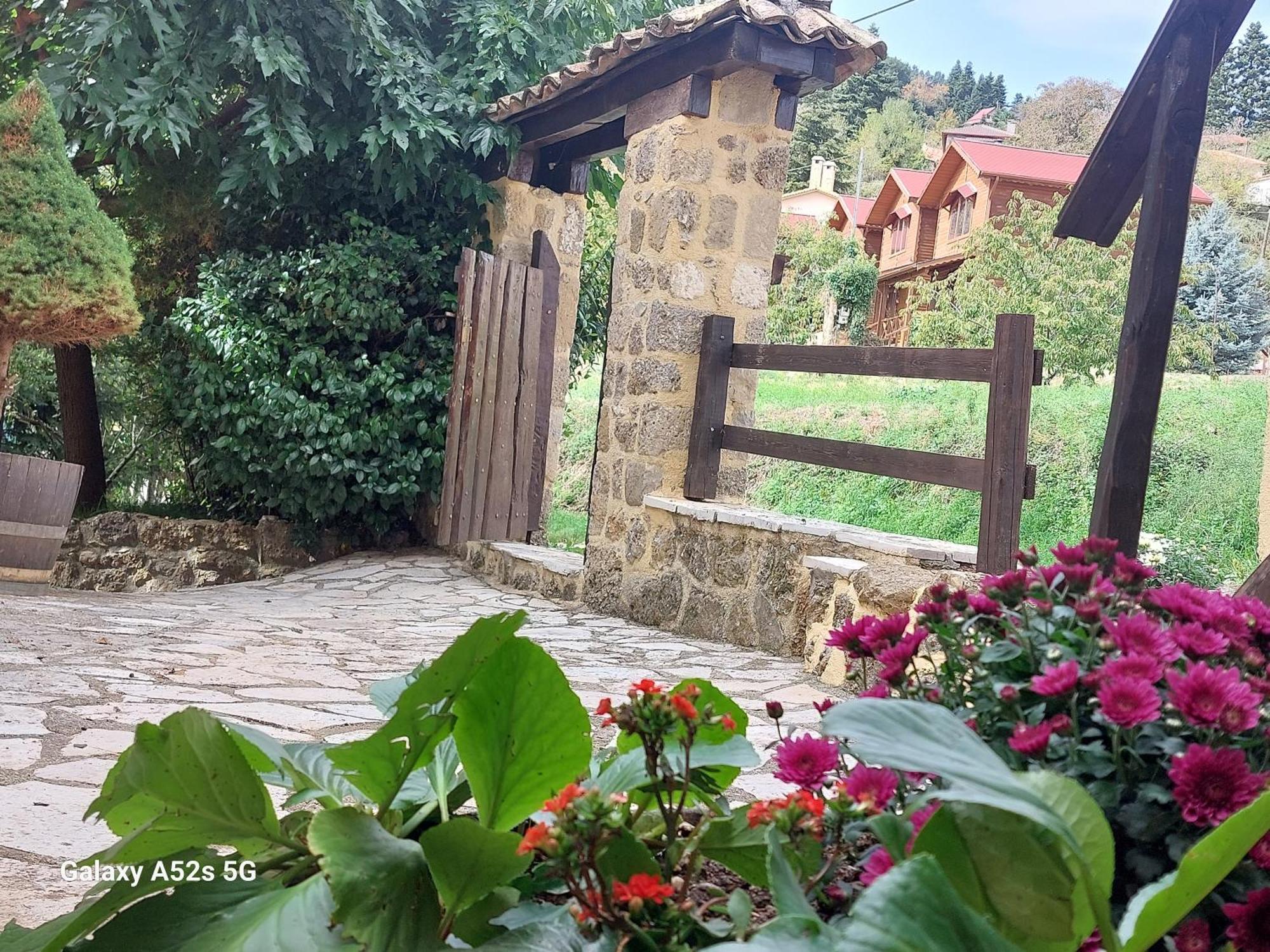 Villa Εν Αρχή - En Arhi Ano Trikala Esterno foto