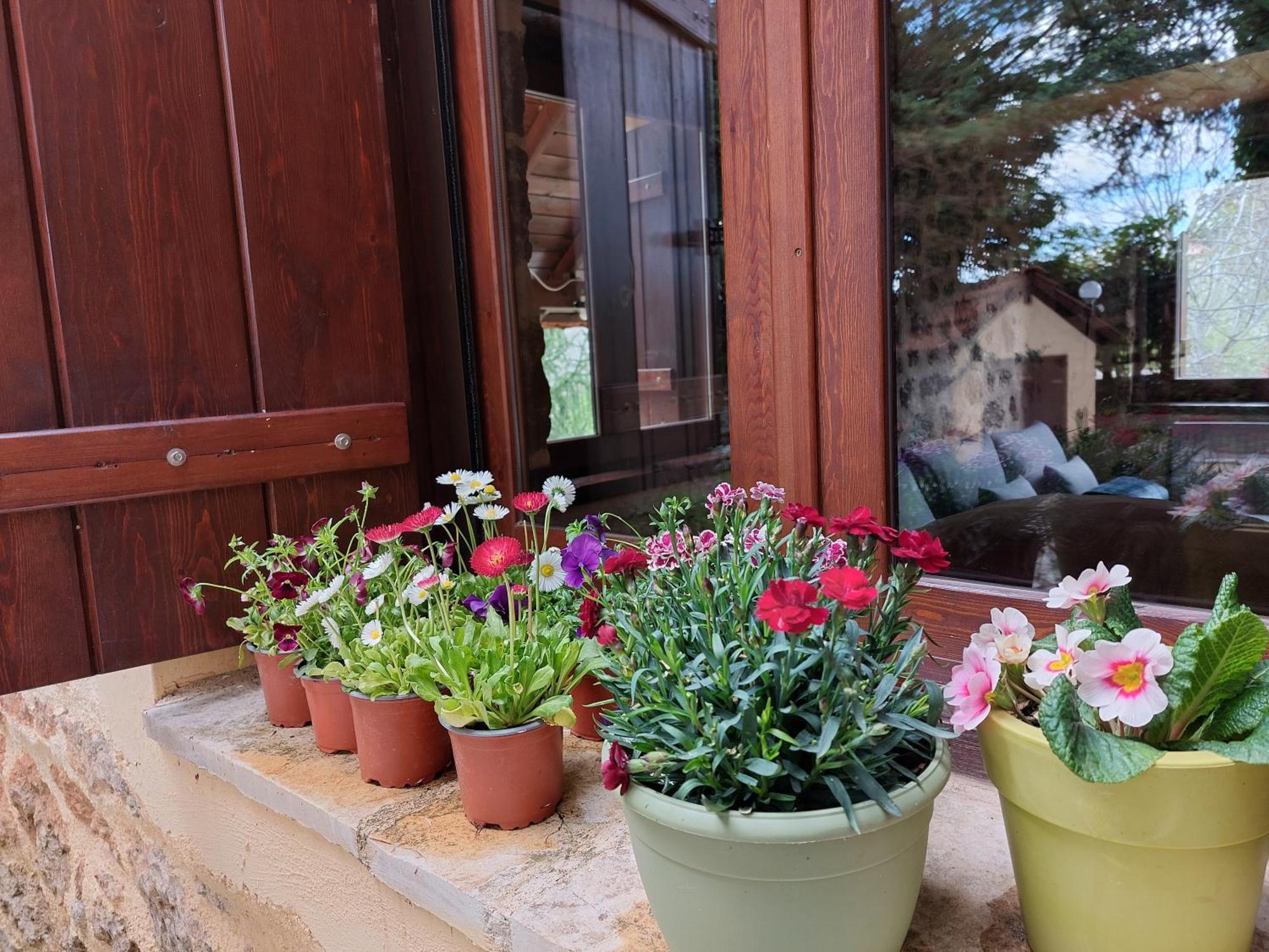 Villa Εν Αρχή - En Arhi Ano Trikala Esterno foto