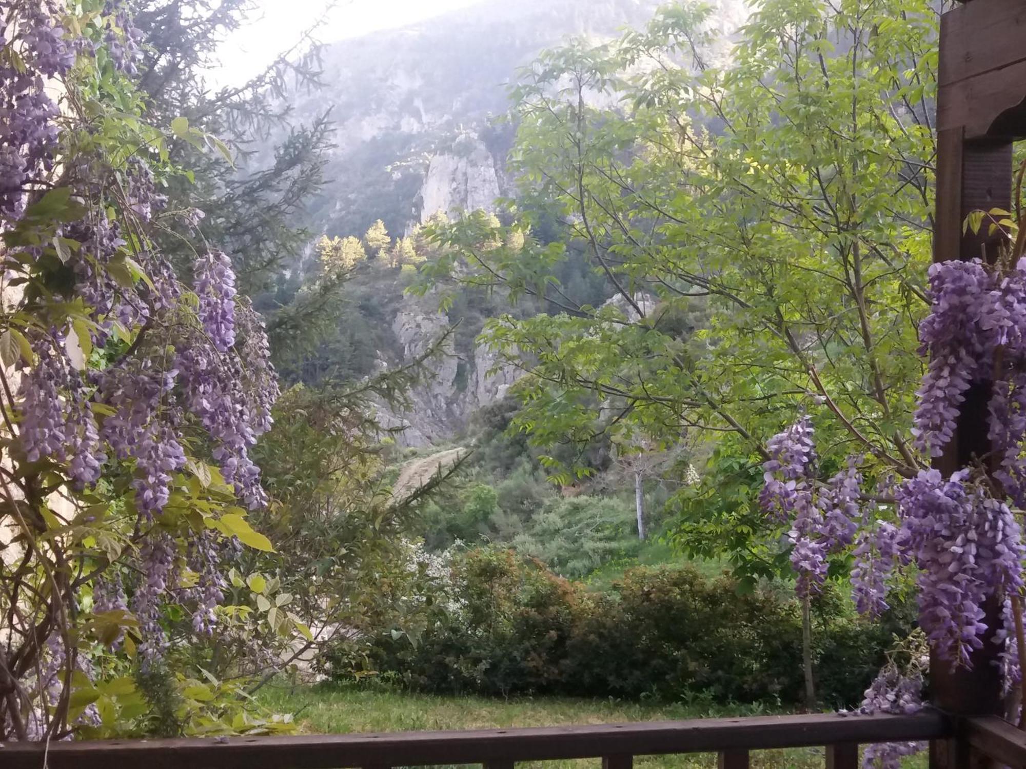 Villa Εν Αρχή - En Arhi Ano Trikala Esterno foto