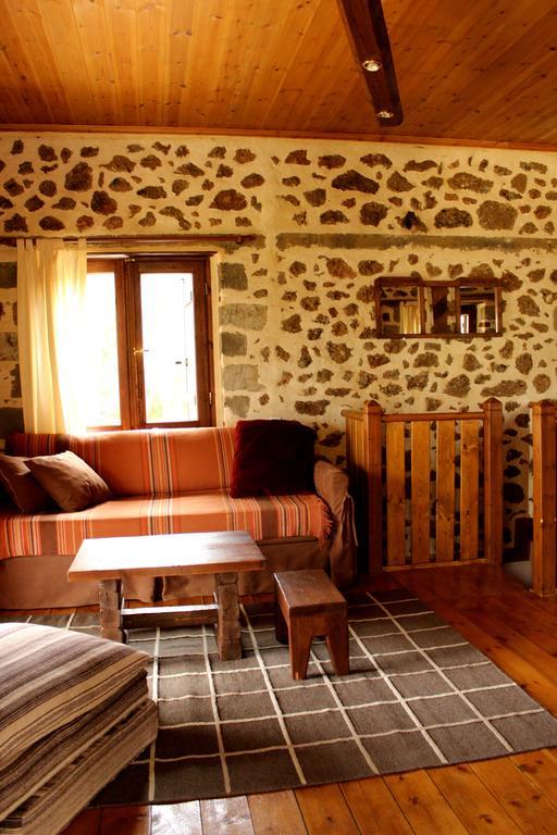 Villa Εν Αρχή - En Arhi Ano Trikala Camera foto
