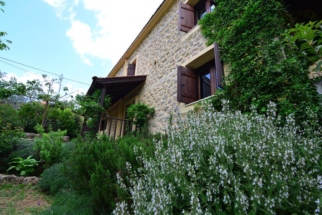 Villa Εν Αρχή - En Arhi Ano Trikala Esterno foto